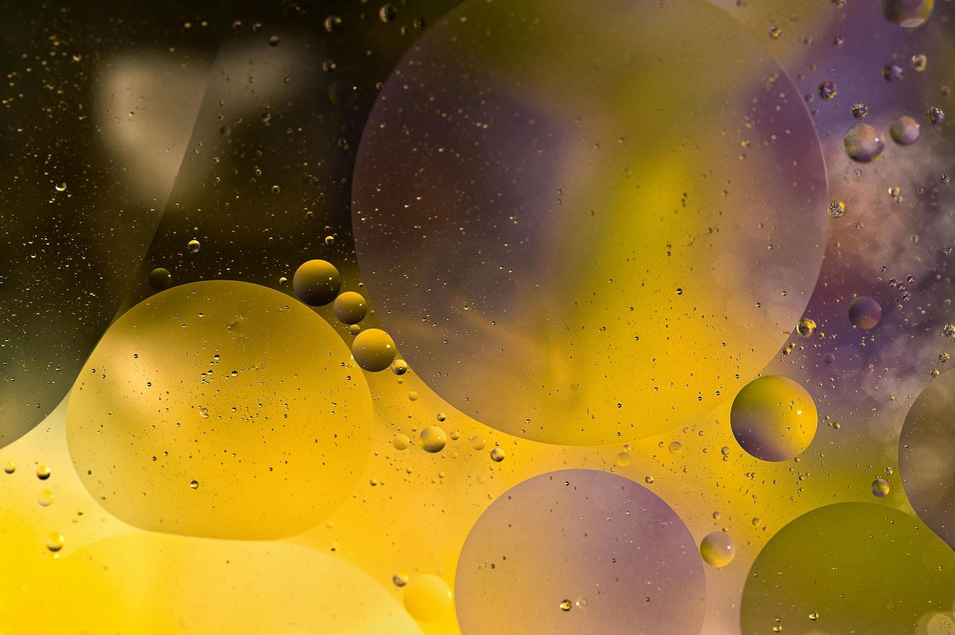 Mettez en ligne vos premiers modules avec notre éditeur intuitif